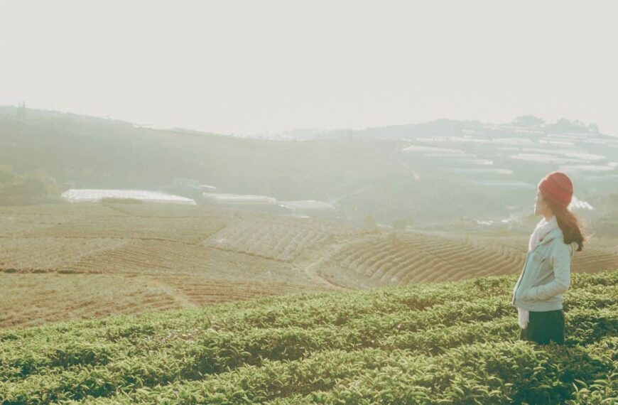 a woman looking out over a field